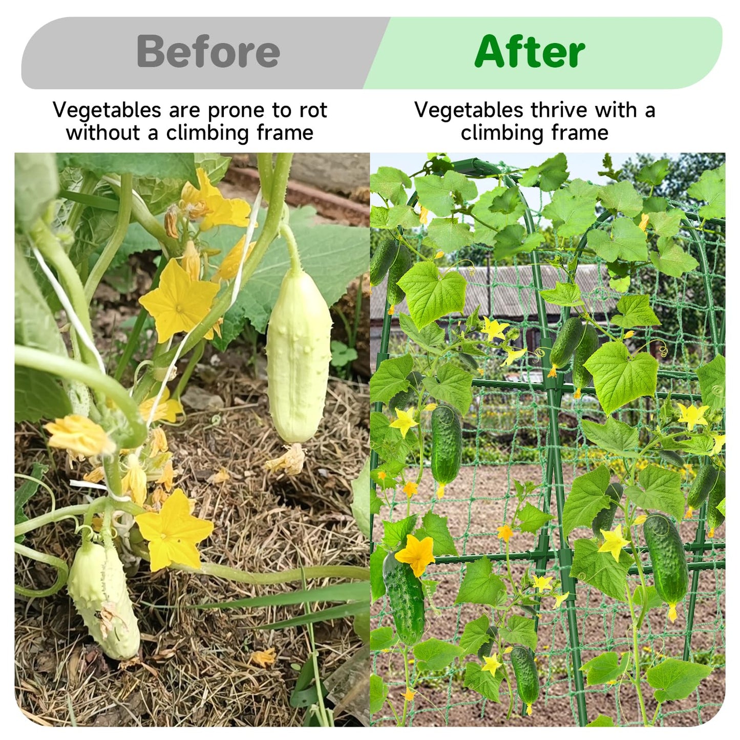 Cucumber Trellis for Raised Bed, U-Shape Garden Trellis for Climbing Plants Outdoor, Metal Arch Trellis for Vegetables, Plant Support for Tomato, Pea, Zucchini (47.2" L×30" W×47.2" H-Medium)