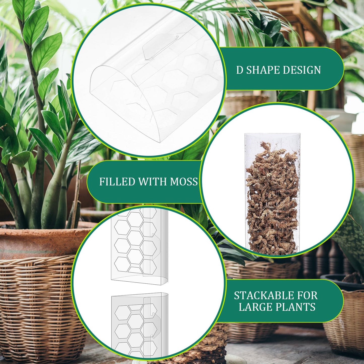 Quzzil 10 Pieces Plastic Moss Pole for Monstera Including 4 Pcs 24 Inch Clear Plant Poles for Indoor Climbing and 6 Pcs 15 Inch D Shape Stackable Plant Support Kit Work with Sphagnum Moss