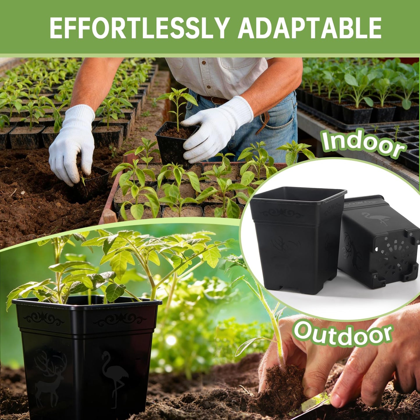 puobao 36 Pack 5.5 Inch Square Nursery Pots, Plastic Flower Pots with Drainage, Plant Pots for Plants, Reusable Planting Pots Planter for Seedlings, Transplanting & Indoor Use