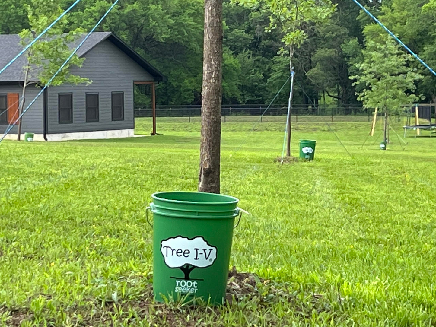 Tree I-V 10-pk DIY Root Feeder Kit w/Drill Bit & Plugs | Your Bucket