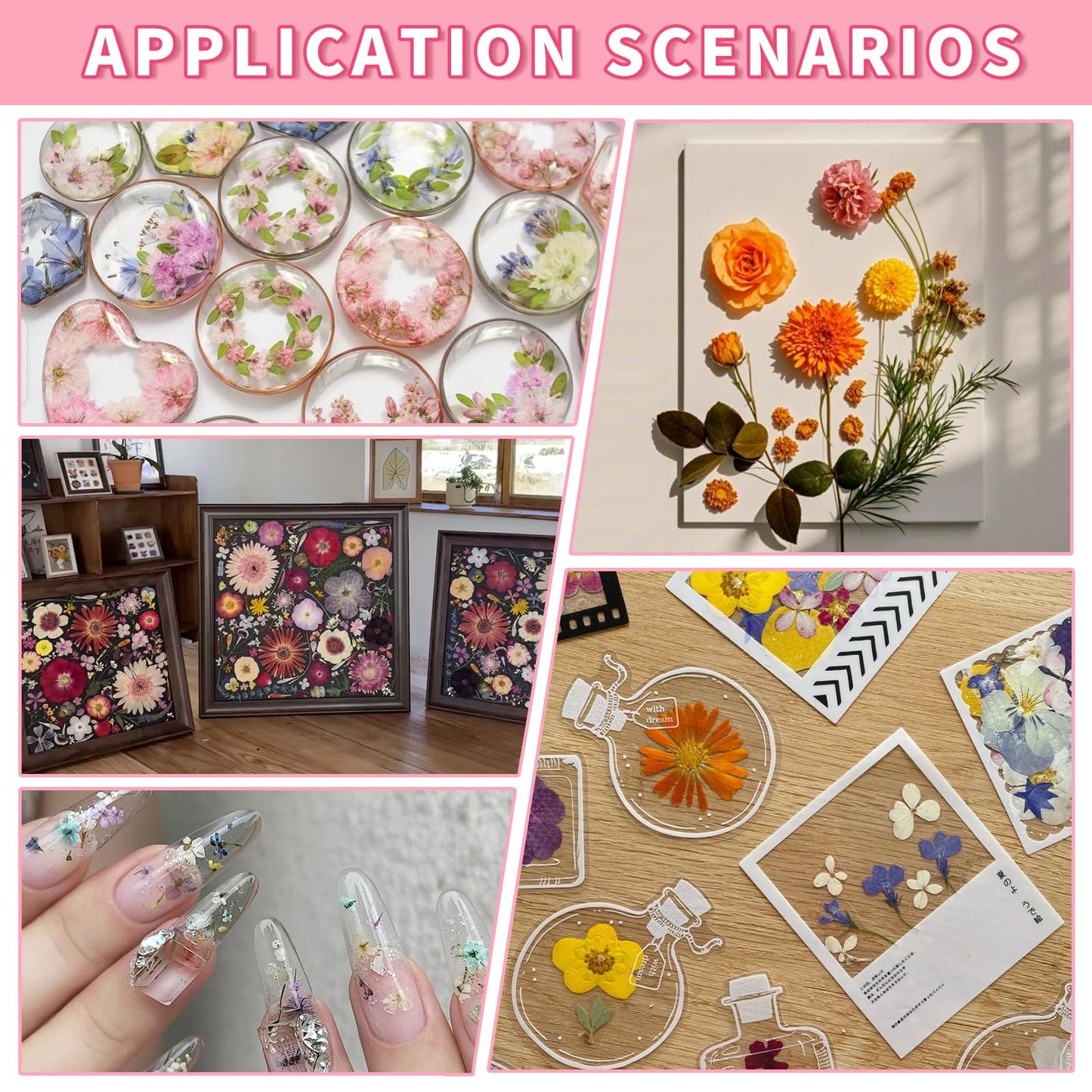 Natural Dried Pressed Flower Kit for DIY Crafts – Assorted Real Flowers & Leaves with Tweezers for Resin Art, Scrapbooking, Jewelry Making, Nail Art, and Home Décor