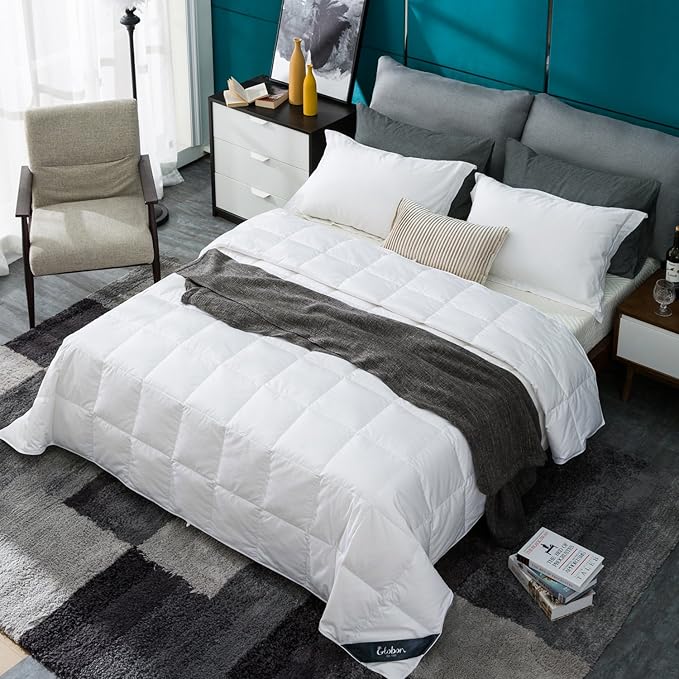 Globon White Summer Down Comforter/Blanket Queen Size, Lightweight Duvet Insert for Hot Sleepers, Noiseless & Extra Soft Shell,14OZ,750 Fill Power, with Ties, Solid White
