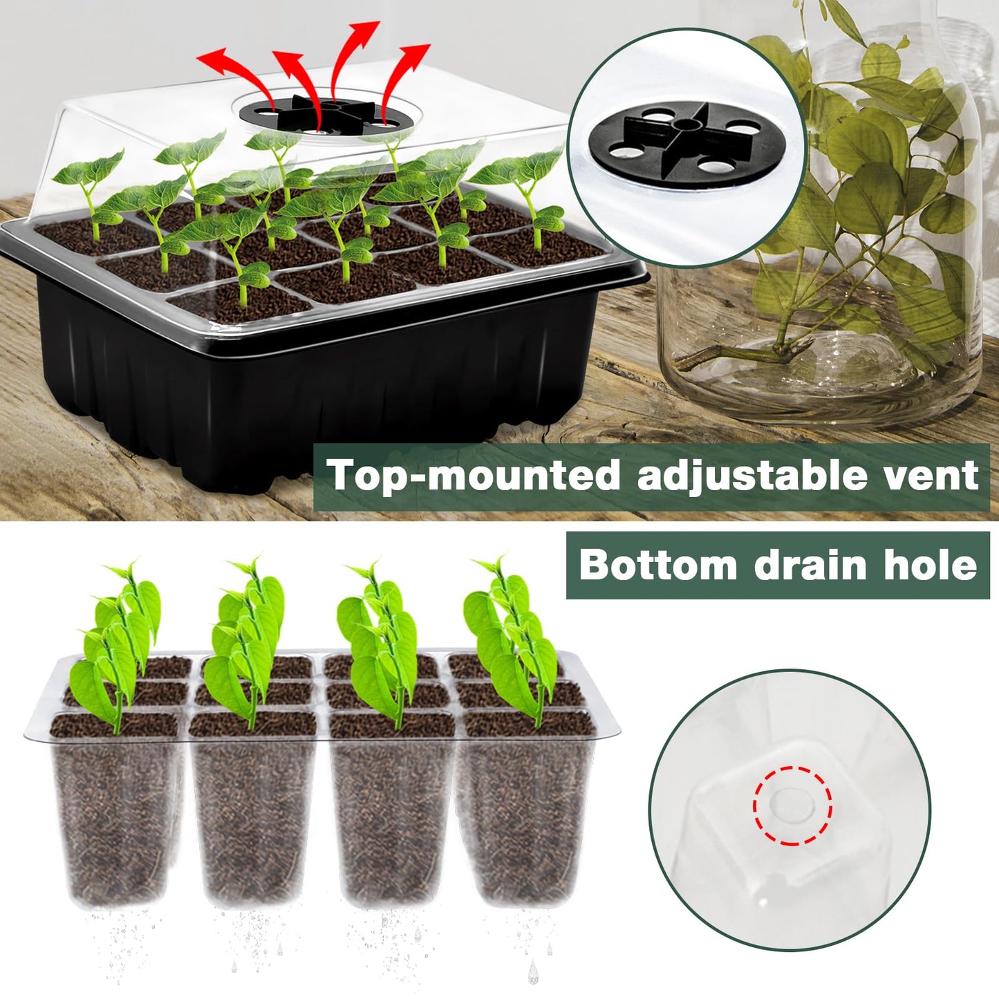 ZeeDix 10 Set Seed Starter Tray Kits, 10 Pack Seed Trays with 150 Pack Coco Coir Pellets, Adjustable Humidity Germination Tray with Dome Lids for Indoor Plants, Mini Greenhouse for Vegetables Garden