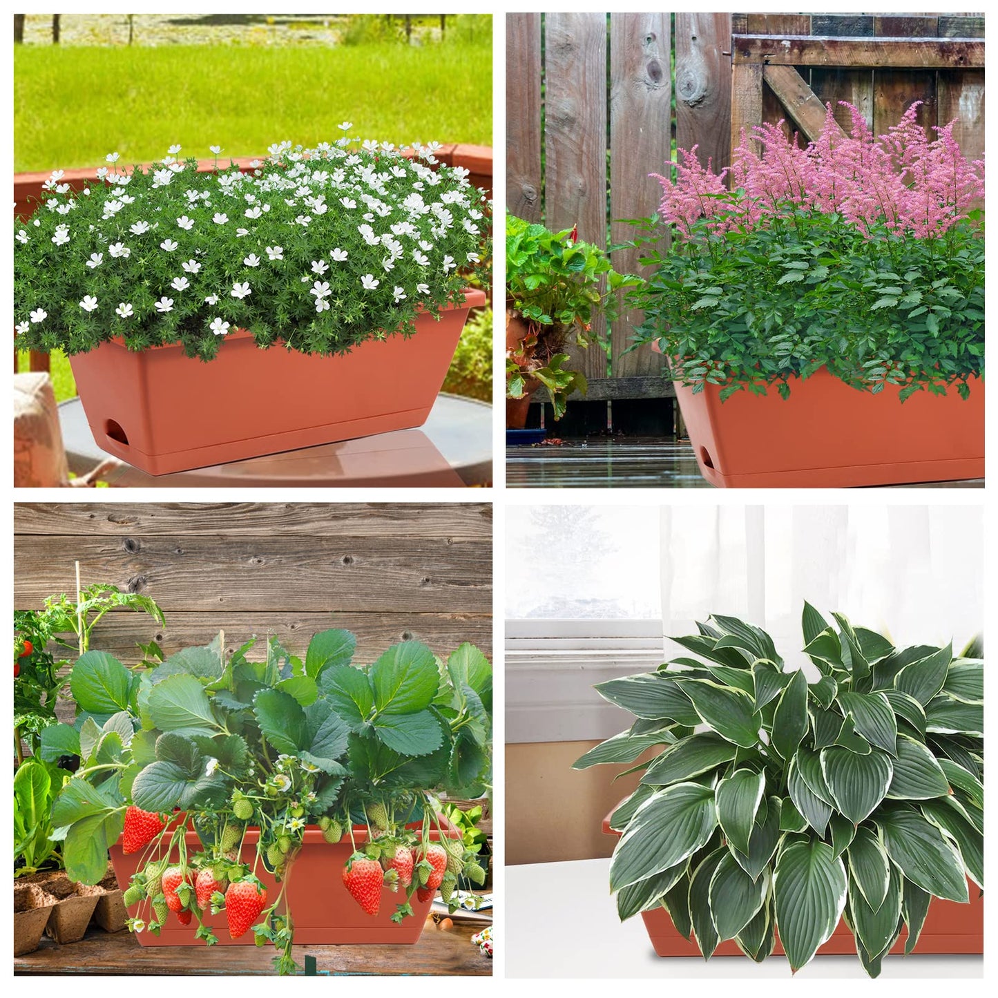 8pcs Window Box Planter,17 Inches Flower Window Boxes, Rectangle Planters Box with Drainage Holes and Trays, Plastic Vegetable Planters for Windowsill Patio Garden Home Decor Porch Yard (Red)