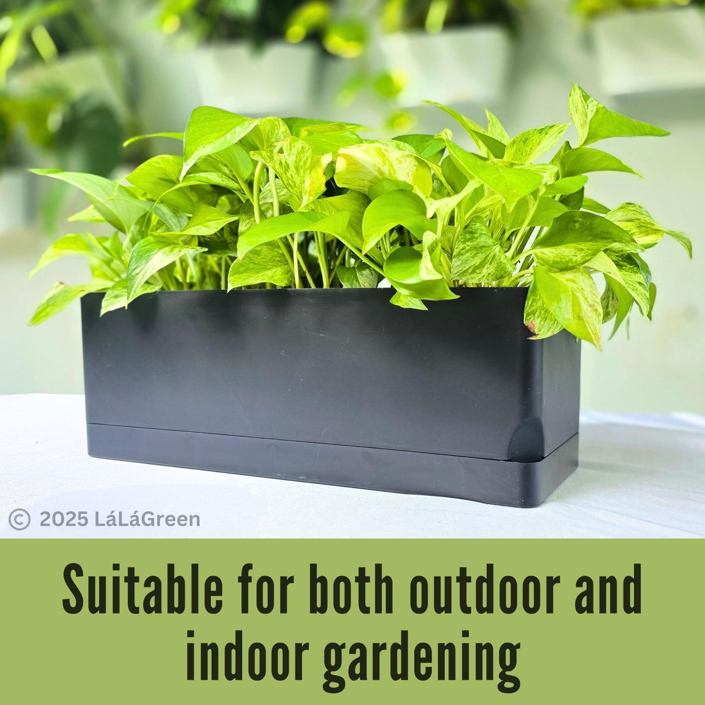 LaLaGreen Planters for Indoor Plants (7 Pack) Self-Watering System Black Window Box Planter, Rectangular Plastic Flower Boxes Herb Garden Long Windowsill Plant Pot with Drainage Modern Stylish Outdoor