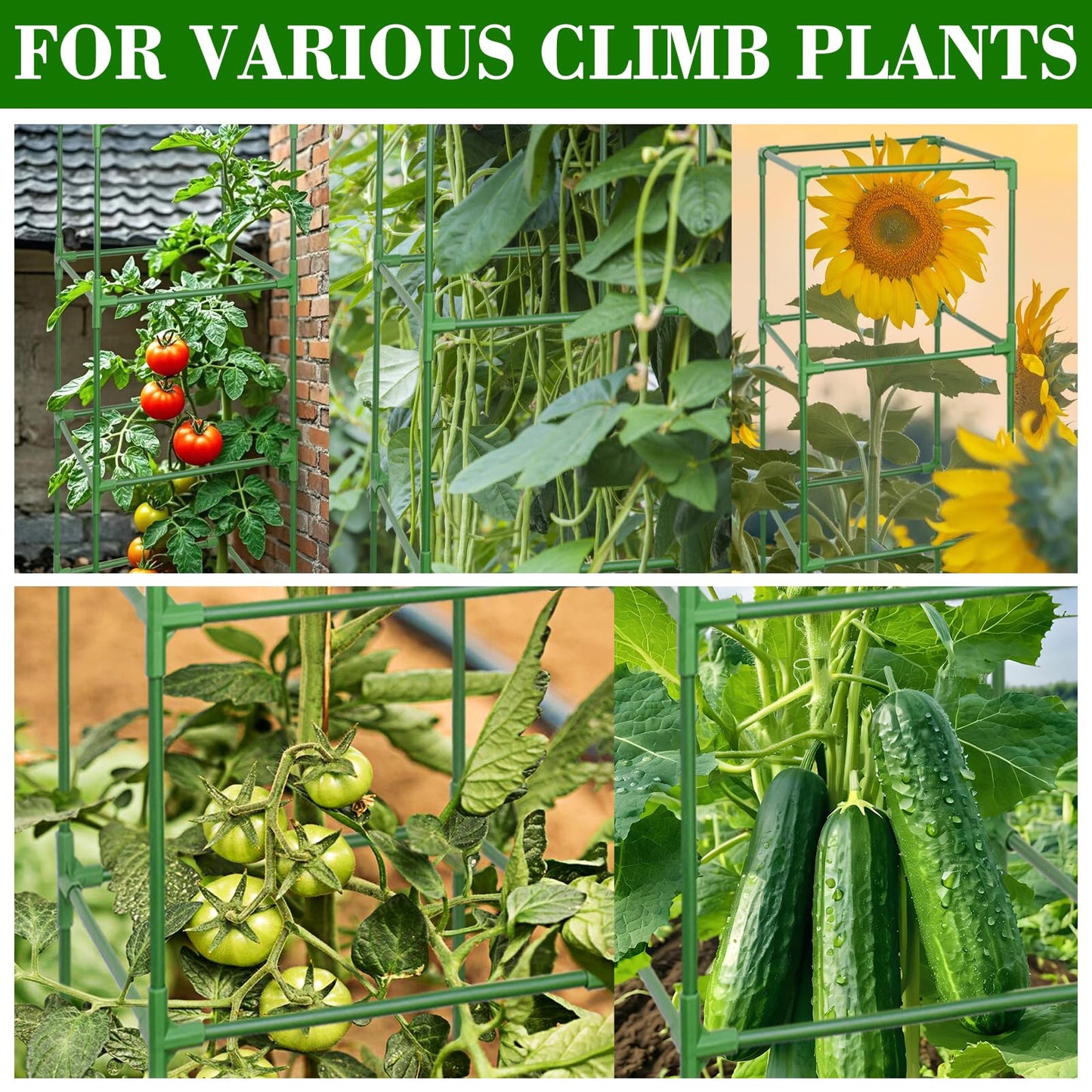 ZeeDix 6 Pack Heavy Duty Tomato Cages for Garden 60 Inches, Square Adjustable Tomato Trellis Cage Climbing Plant Support Trellis Plant Cages for Climbing Vegetables Flowers with 40Pcs Clips