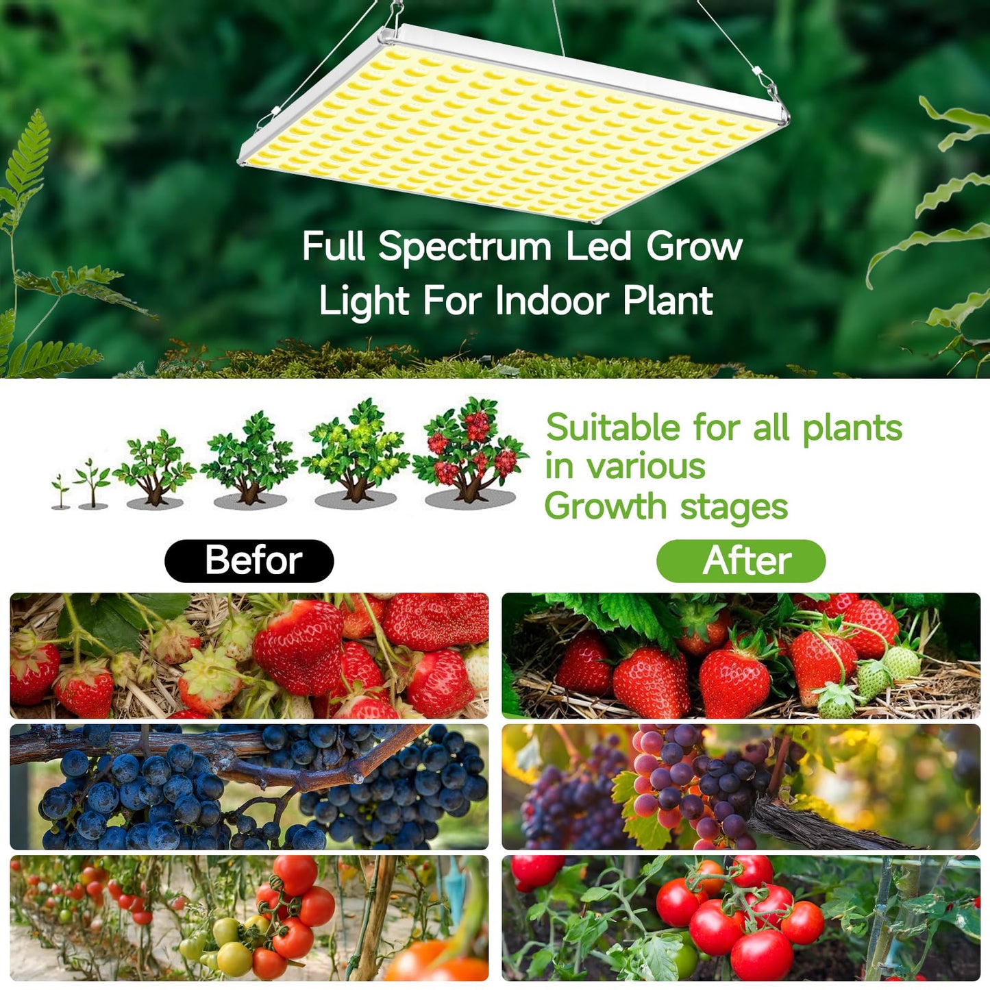 LED Grow Light for Indoor Plants Full Spectrum Plant Light for Seedling, Hydroponic, Greenhouse, Succulents, Flower