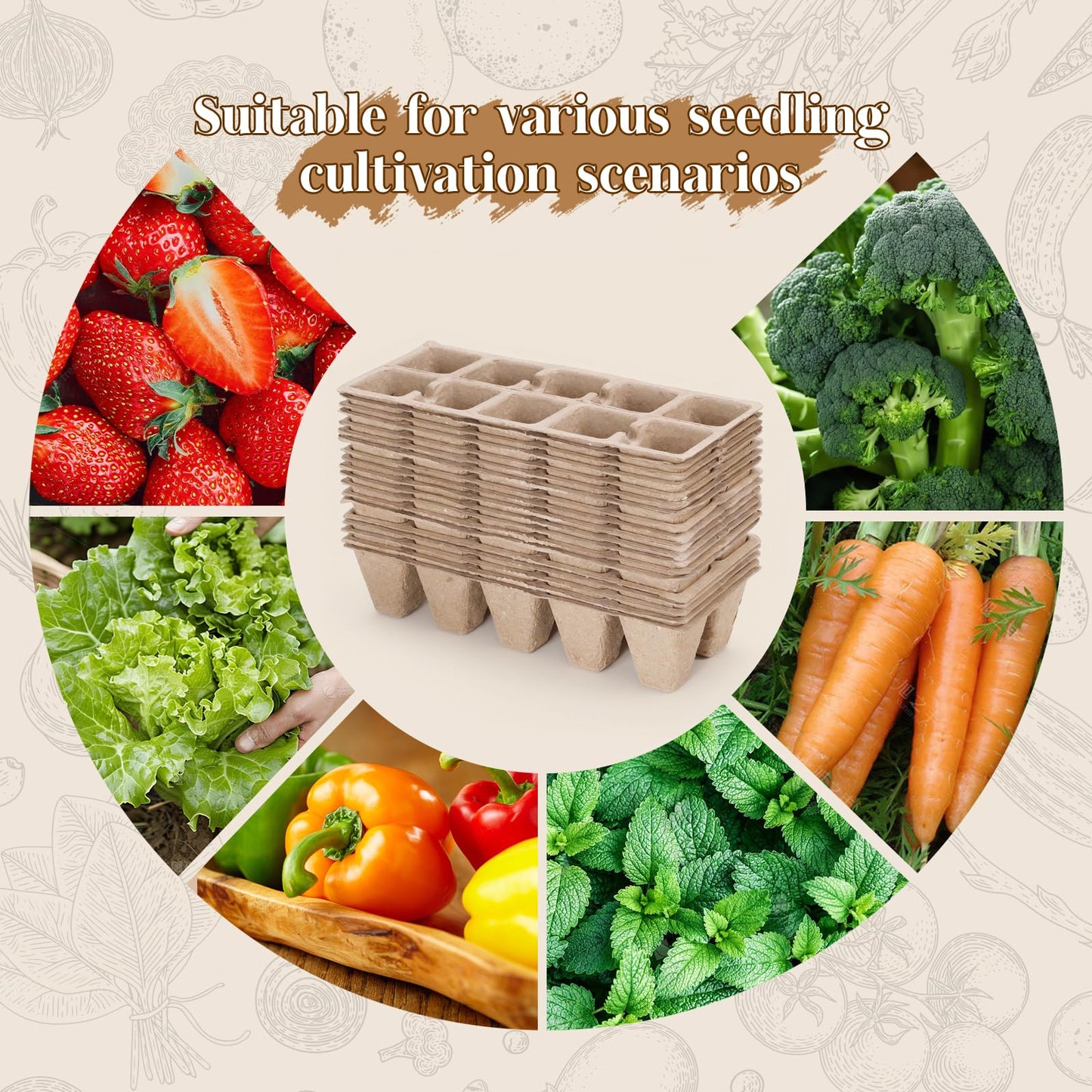 Omitgoter 200 Cells Seed Starter Tray, 20 Pcs Biodegradable Plant Starter Peat Pots(Including T-Type Labels & Starter Tools)– Eco-Friendly Gardening Supplies, No Transplant Needed