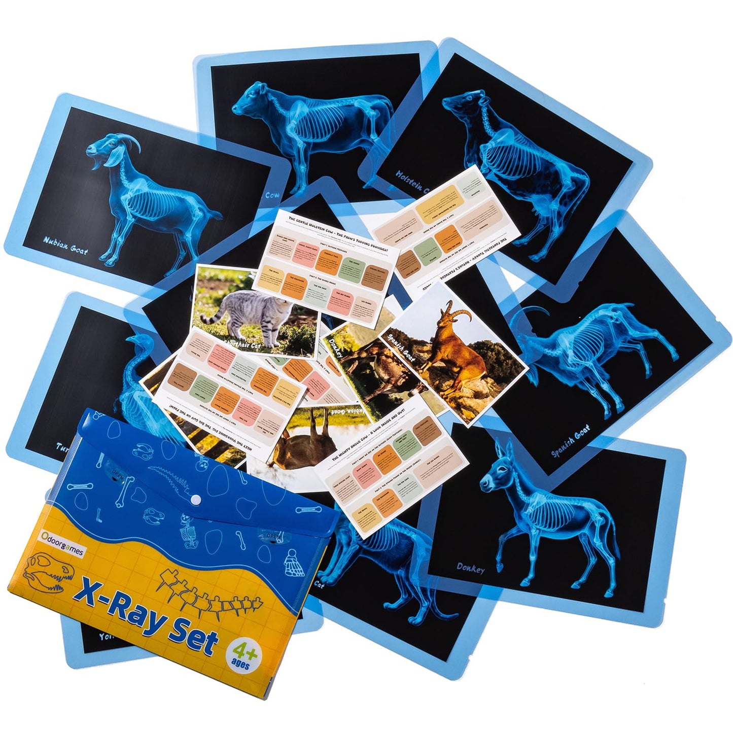 Odoorgames Farm Animal Xrays - 140 Pcs Translucent Pattern Blocks, Sensory Light Table Toy Set for Kids, Artist Tracing Light Box, LED Light Up Sensory Table Toys