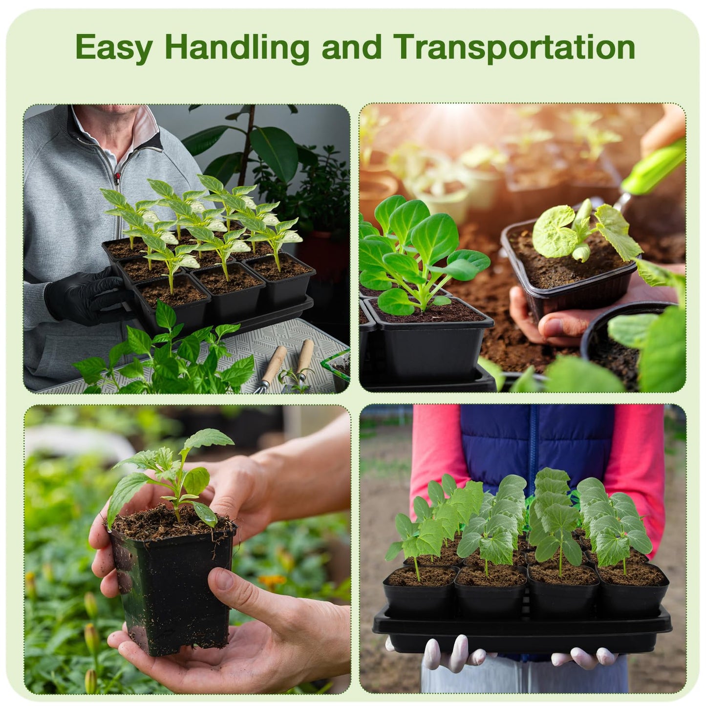 Mlhezy 50Pcs 3.5inch Square Nursery Pots with 5Pcs Seed Starting Trays, Seed Starter Tray Kit, Seeds Starting Germination, Seeding Pots with Drain Holes, Small Plant Nursery Propagation