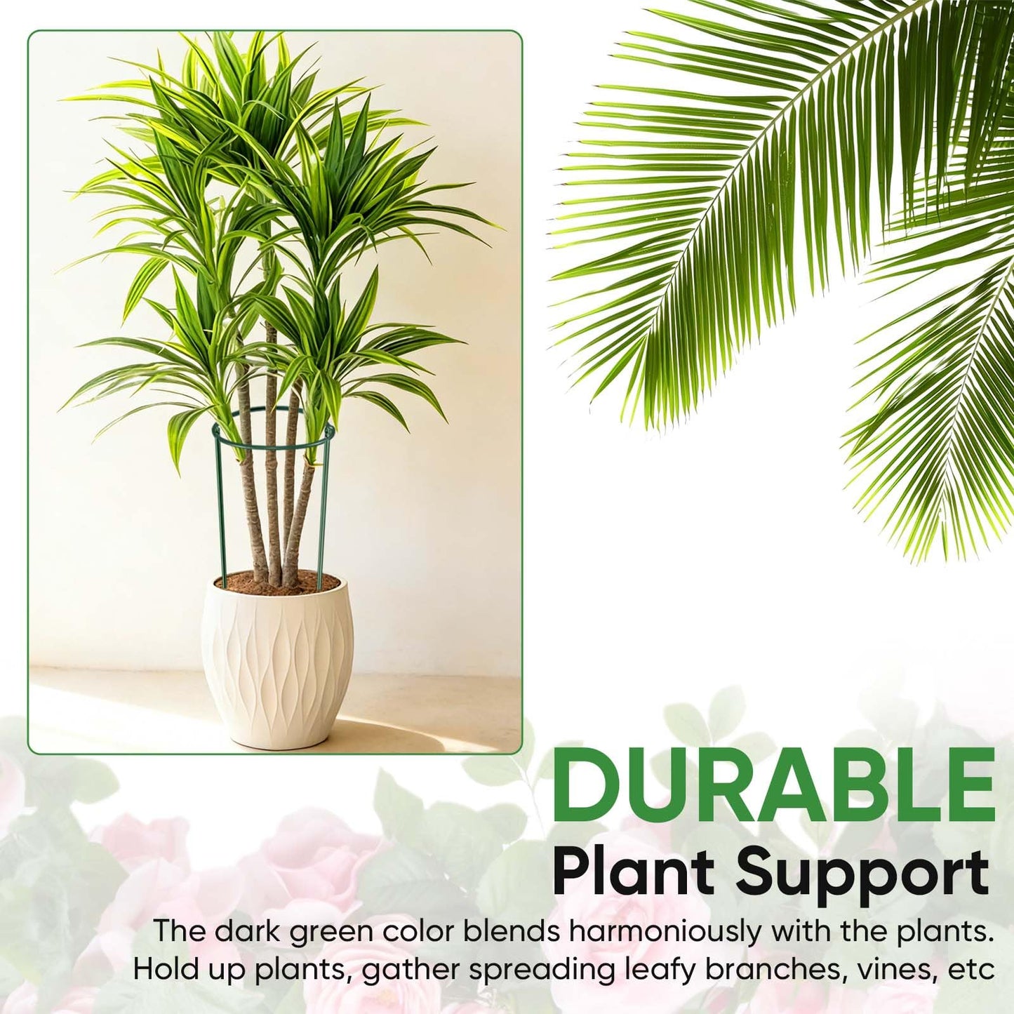 HiGift 10 Pack 24" H x 10" W Tall Plant Support Stakes, Half Round Metal Peony Cages and Supports, Monstera Plant Support Snake Plant Stake Flower Support Ring for Tomato, Hydrangea Outdoor Indoor