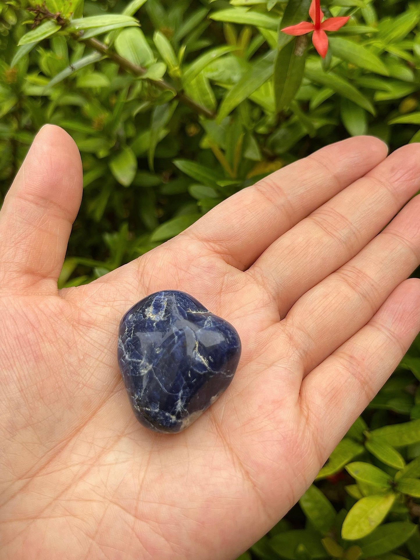 GAF TREASURES 5 Pcs Sodalite Tumbled Stones, Polished Sodalite Gemstone, Healing Crystals (Sodalite)