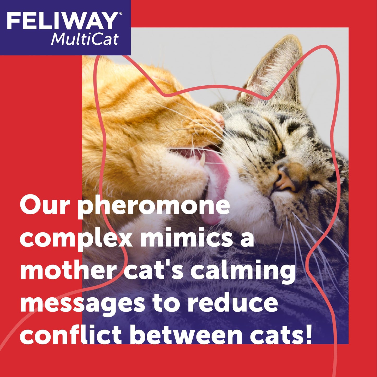 FELIWAY MultiCat 30 Day Cat Calming Plug In Pheromone Diffuser Starter Kit, 48ml - Helps Reduce Conflicts and Signs of Tension in Multi-Cat Households