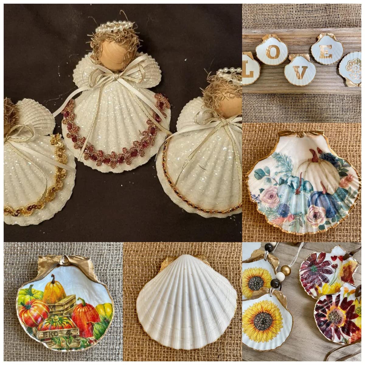 SEAJIAYI 30 PCS Scallop Shells 2-3 Inch Natural White Sea Shells from Sea Beach for DIY Craft Home Décor(6-8 cm)