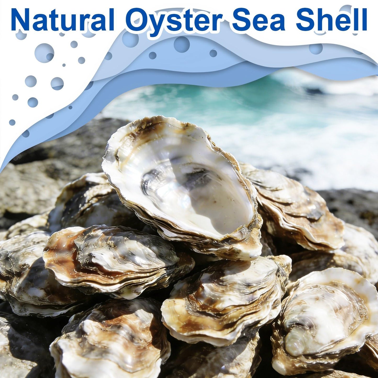 15PCS Natural Oyster Shells 4-5 in Uncarved Oyster Shells for Crafts, Hard Texture for DIY Arts Ornaments, Candle Holders, Coastal Decor & Art Projects