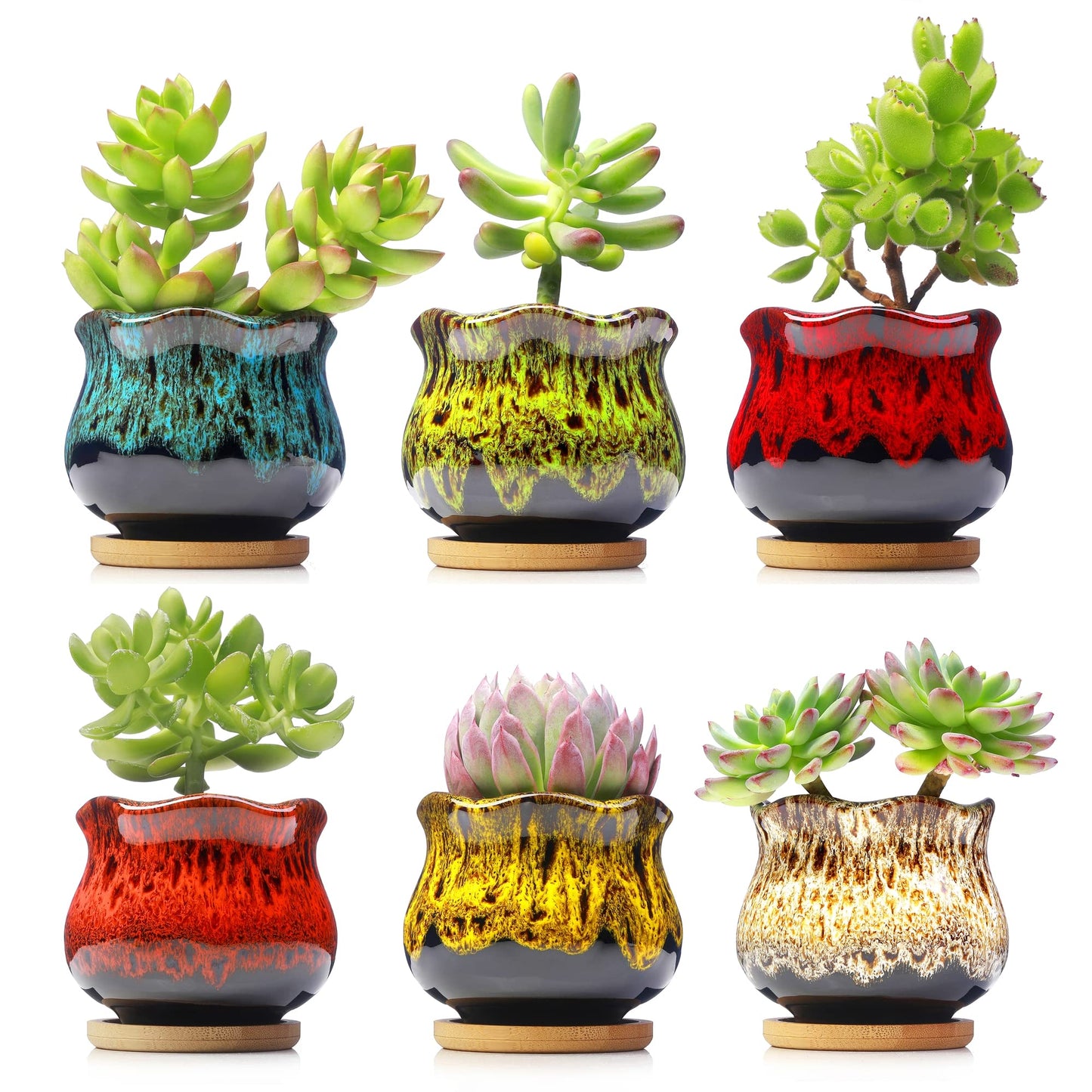 Fulloog Cute Ceramic Succulent Planters, Garden Pots with Drainage and Attached Saucer, Set of 6 - Plants Not Included