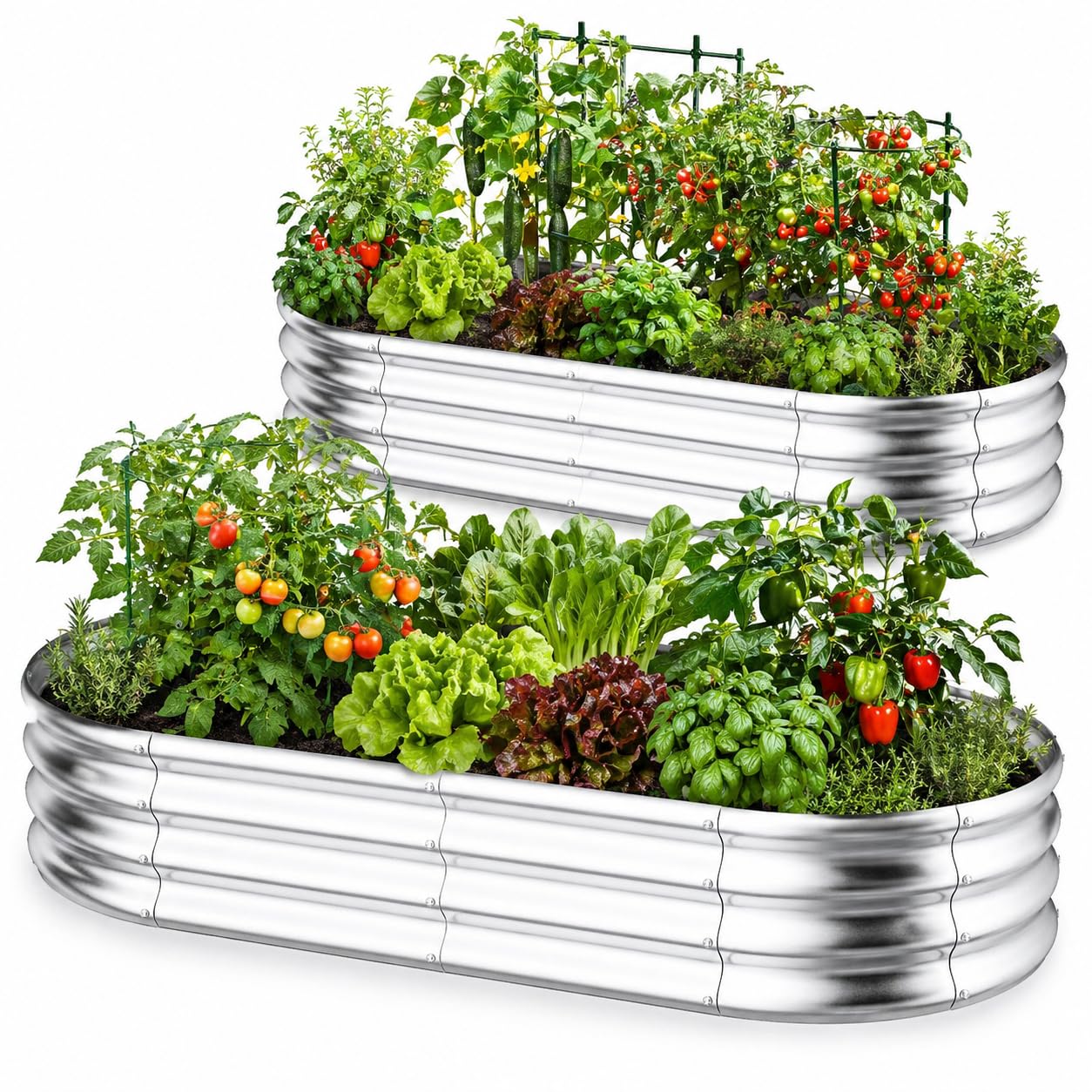 HOOPLE 2 Pack Raised Garden Bed 6x3x1FT, Galvanized Metal Raised Garden Bed Outdoor, Oval Design with Open Base for Better Drainage, Easy Gardening for Vegetables, Flowers & Herbs