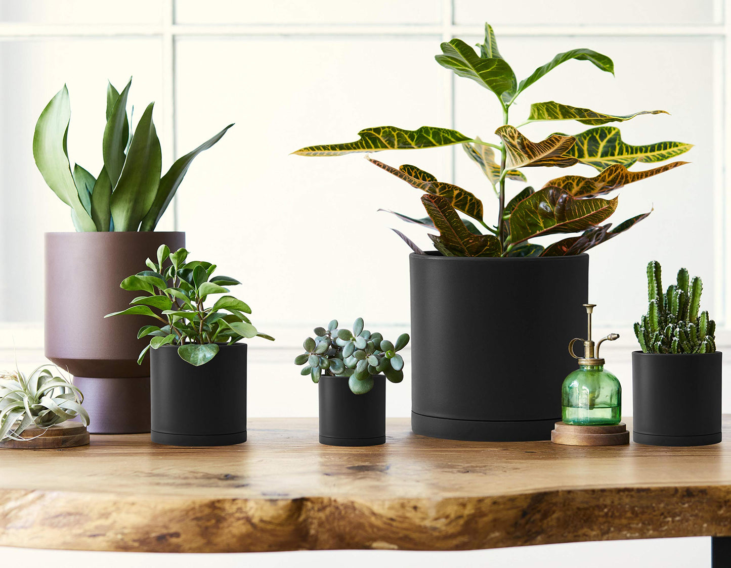 D'vine Dev 10 Pack Plastic Plant Pots for Plants, 6.5/6/5.5/5/4.5/4/3.5/3/2.5/2 Inch Indoor Planters Cylindrical Succulent Pot with Drainage Hole and Saucer, Black, 74-S-B