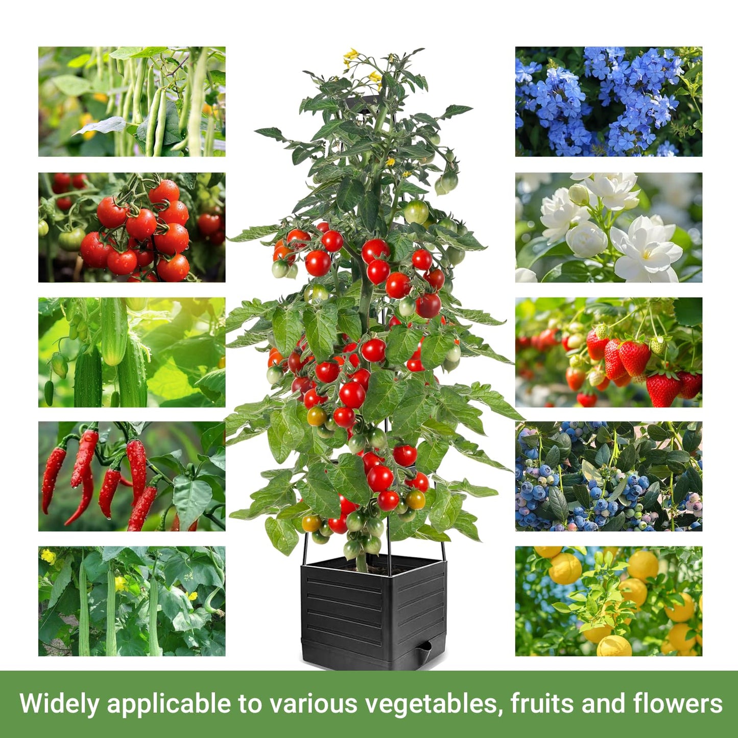 2 Pack Tomato Planter with Trellis 57 Inch, Raised Garden Bed Planter Boxes Self-Watering for Climbing Vegetable, Plants and Tomato Cages for Indoor Outdoor