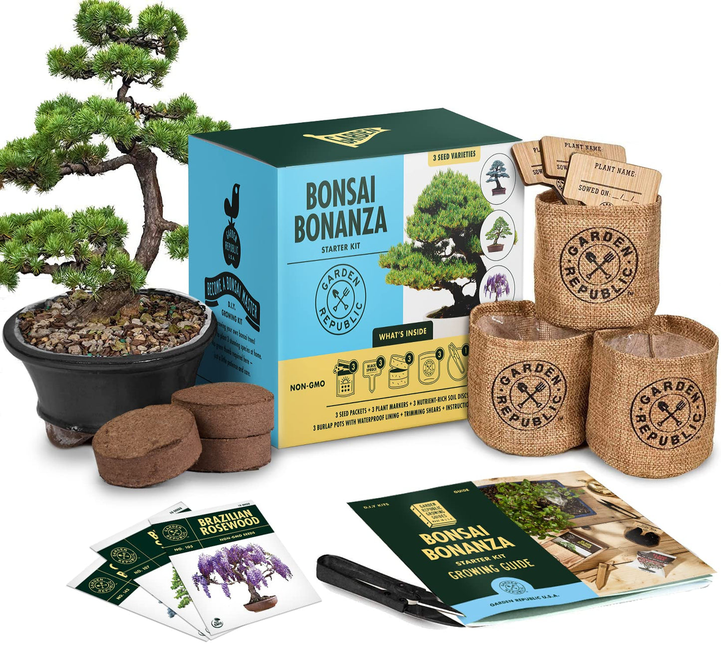 Garden Republic Bonsai Tree Kit - Mini Bonsai Seeds, 3 Types - for Indoor Plant Growing - Starter Kit with Seeds, Soil, Planters & Shears