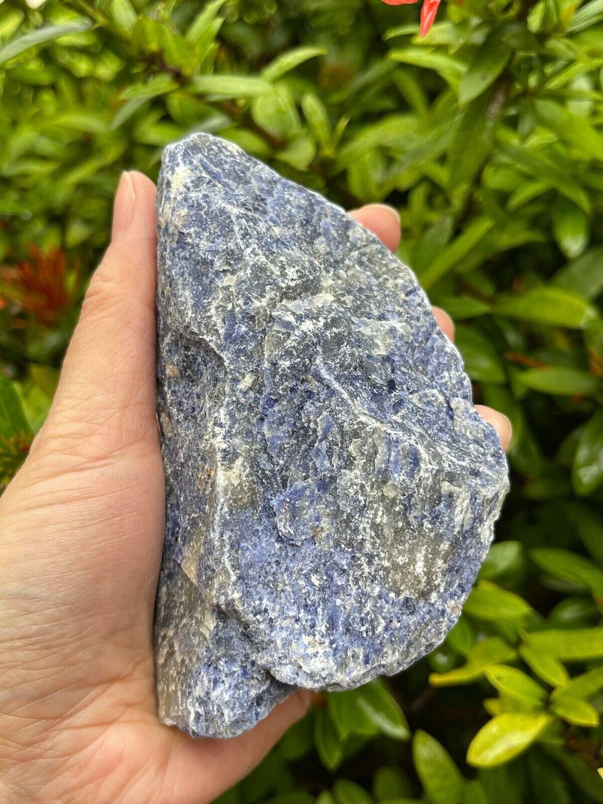 GAF TREASURES XL Raw Sodalite, 3-4" Natural Rough Sodalite, Sodalite Healing Rough Crystal (Sodalite, 0.5-1 lb)