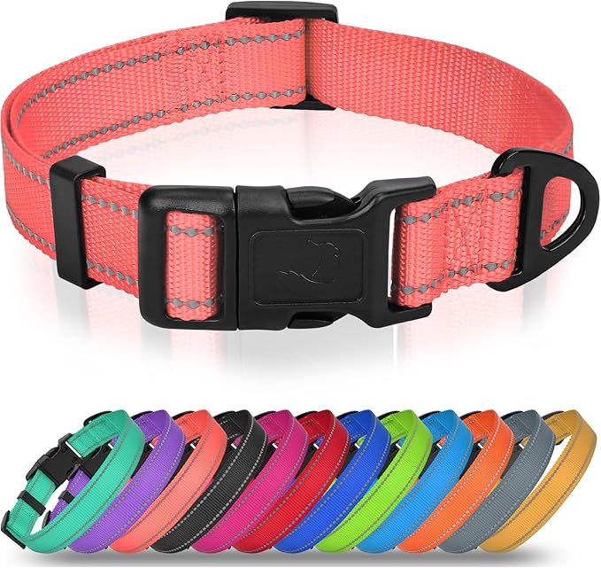 Joytale Feather-Light Dog Collar for Medium & Large Dogs, 1", Red