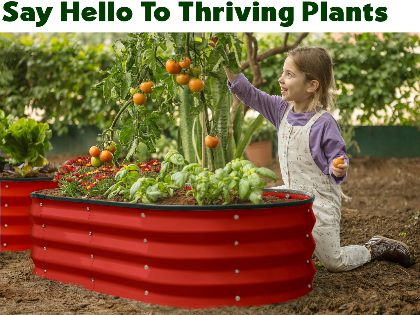 Plant & Plot Galvanized Raised Garden Beds Outdoor // 4×2×1 ft Planter Raised Beds for Gardening, Vegetables, Flowers // Large Metal Garden Box (Red)