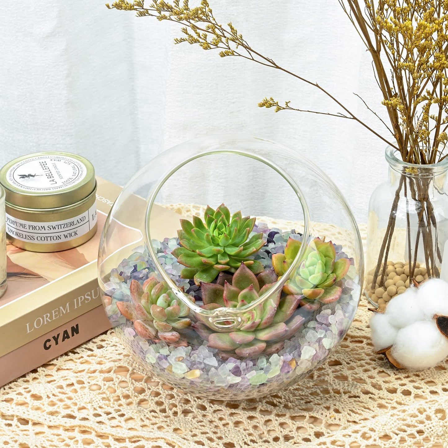 Succulent Plants (4 Pack), Live Succulents Fully Rooted in 2" Grower Pots, Unique Potted House Plant for DIY, Home Decor, Wedding Party Favor (Common Varieties)
