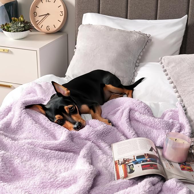 PAVILIA Sherpa Bed Blanket King Size, Light Purple Lavender Plush Soft Cozy Blanket for Bed, Fluffy Lightweight Microfiber, Fuzzy All Season Blanket, 90x108 King