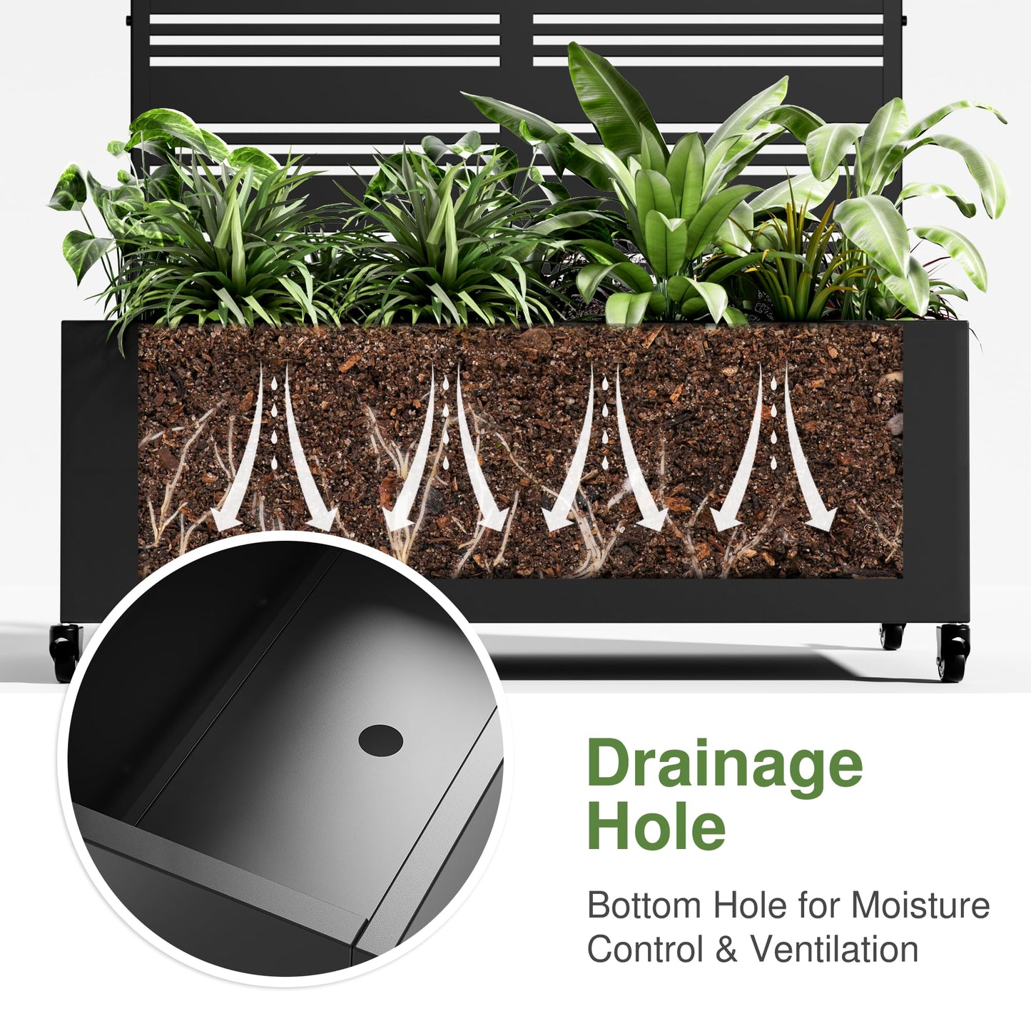 Casaphoria Metal Raised Garden Bed with Trellis and Wheels, 72"x47"x16" Planter Box for Climbing Plants, Vegetables & Vines, Features Drainage Holes and Privacy Screen (Black-Harold)