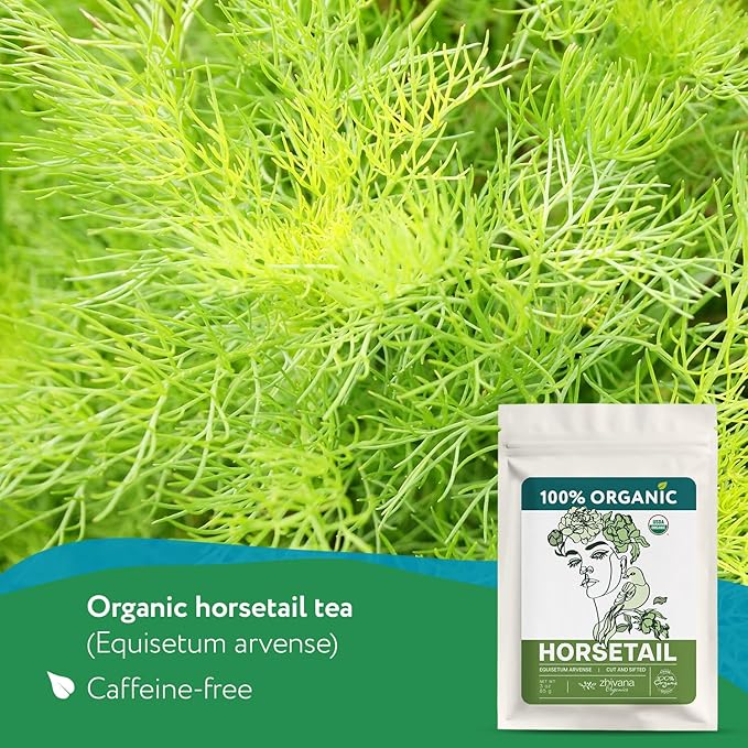 Horsetail Tea Organic (3 oz.) - Organic Horsetail Herb (Equisetum arvense) - Horse Tail Grass - Natural Silica-RichTea for Hair Growth, Nails & Bone Strength - Cola de Caballo Hierba