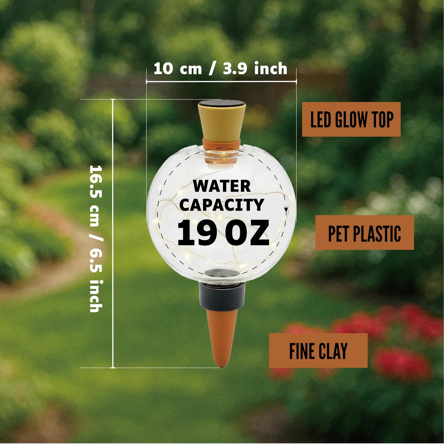 19 oz Extra Large Plant Self Watering Globes Top Fill, LED Night Light Classic Globe Plastic Water Bulbs, Automatic Plant Waterer for Indoor Outdoor Houseplants, Slow Release Planter Insert, 2 Pack
