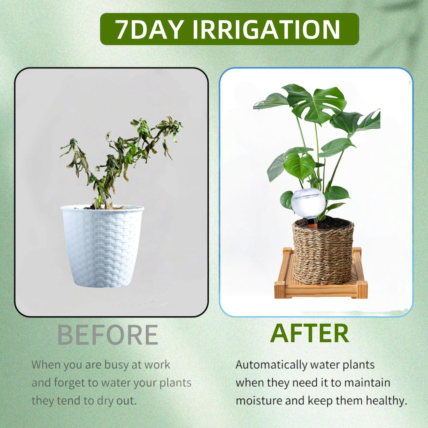 2 Pack Self Watering Globes for Indoor & Outdoor Plants – 17oz Automatic Water Bulbs for Indoor Plants–Slow Release Control Water Dripper for Plants – Plant Watering Devices While Away