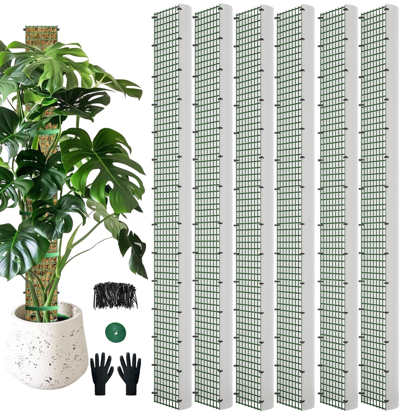 60" Metal Moss Pole, D Shape Sphagnum Moss Pole, Moss Poles for Climbing Plants, Monstera, Indoor Climbing Plants (6Pcs 60")