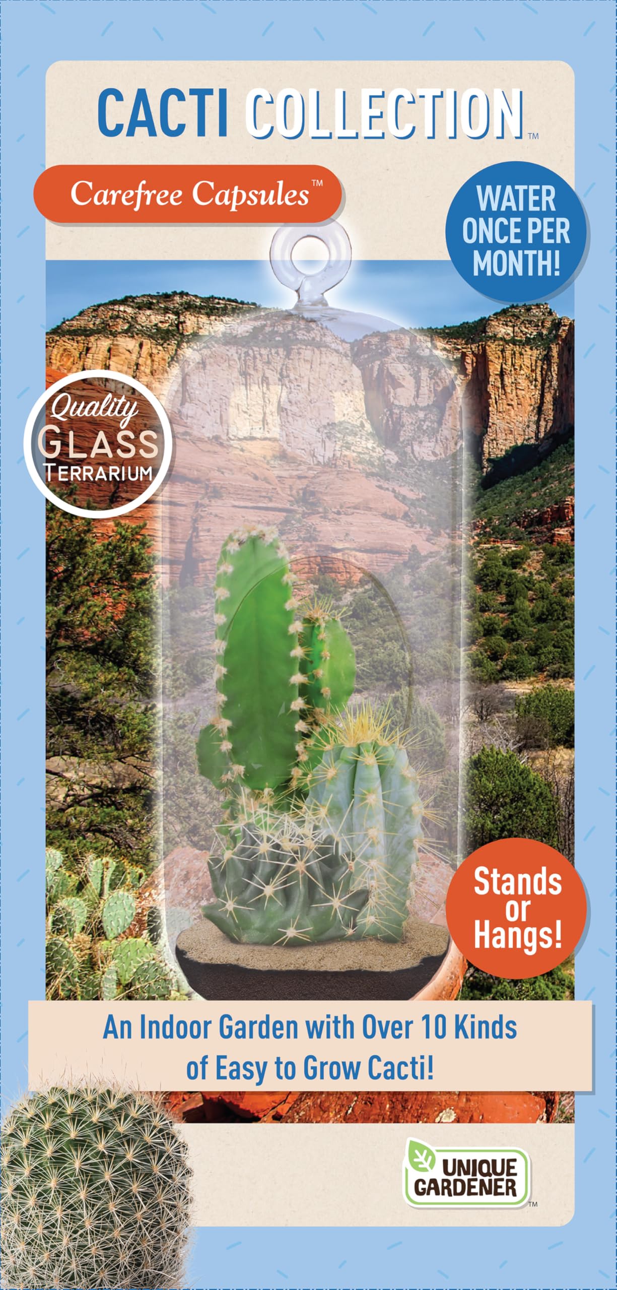 Cactus Terrarium Grow Kit by Unique Gardener - DIY Indoor Hanging or Standing Garden Starter Set with Complete Supplies, Easy to Grow Terrariums for Home Decor!