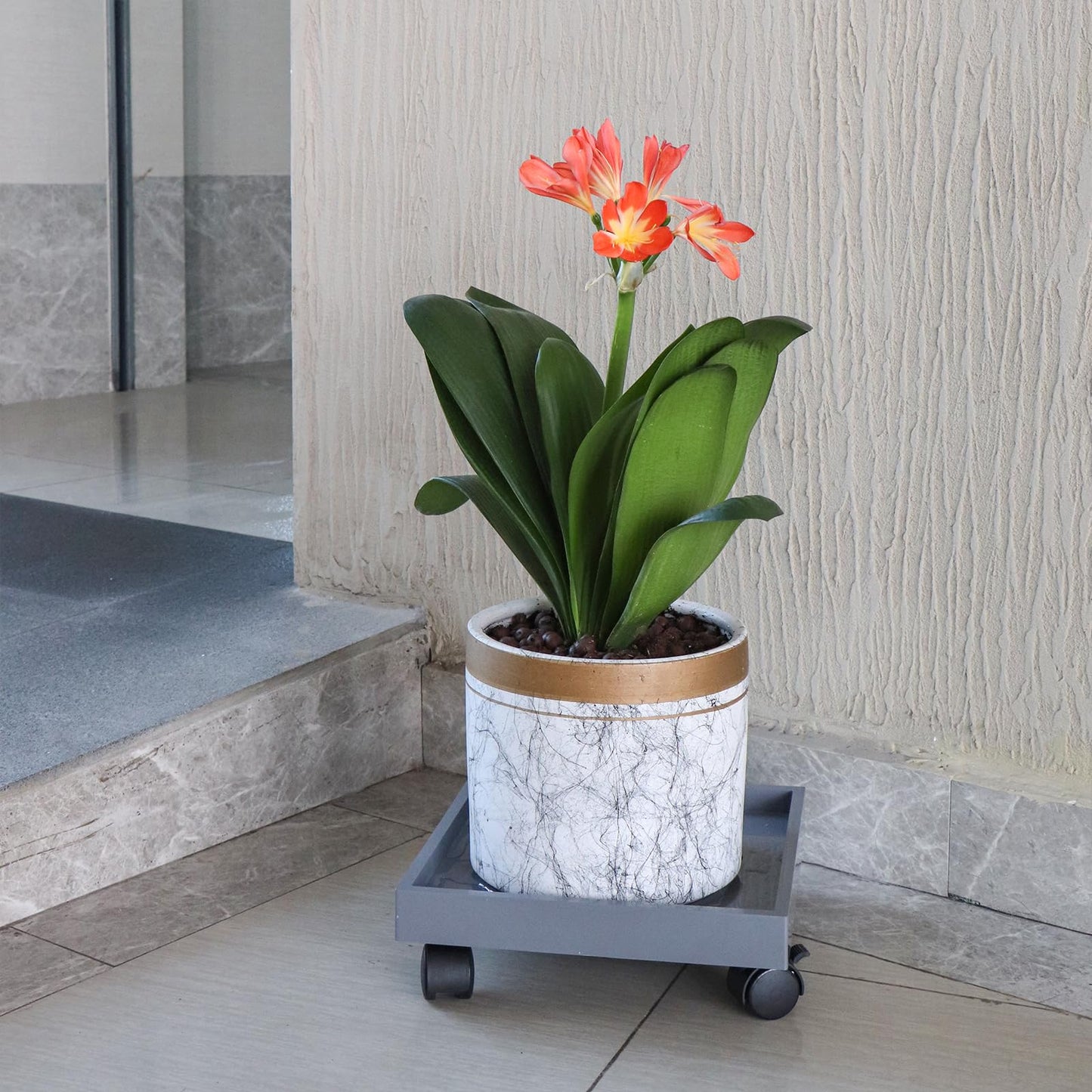 Sanbege Plant Caddy with Wheels, 11" Square Plant Pallet, Plant Pot Trolley (Grey)