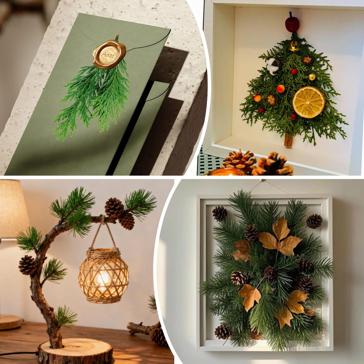 Jtoder Real Pressed Pine Leaves Branches for Christmas Crafts, Natural Dried Botanicals for Resin Ornaments, Wreath Making, Scrapbooking, Festive DIY Home Decor