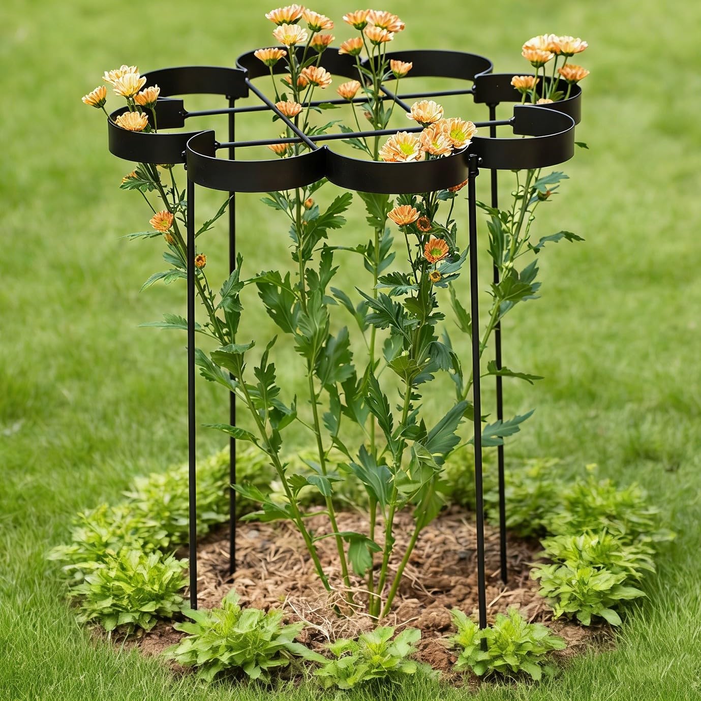 GOOOXIM 25" Peony Cages and Supports - Elegant Black Modern Flower Support Stakes for Peonies & Dahlias - Designed for Stability & Growth - Perfect for Gardens & Patios