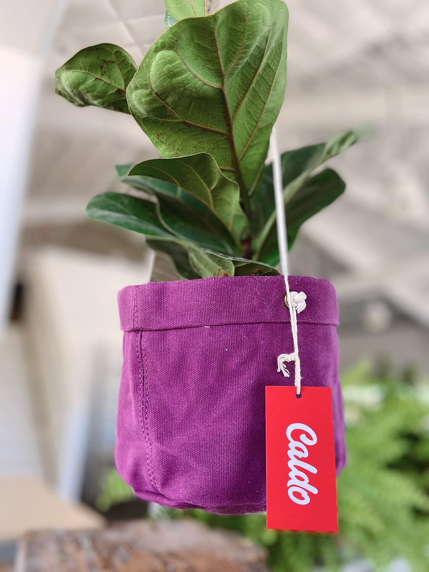 Caldo Two Plant Hangers - Perfect for Indoor or Outdoor Decoration (Purple)