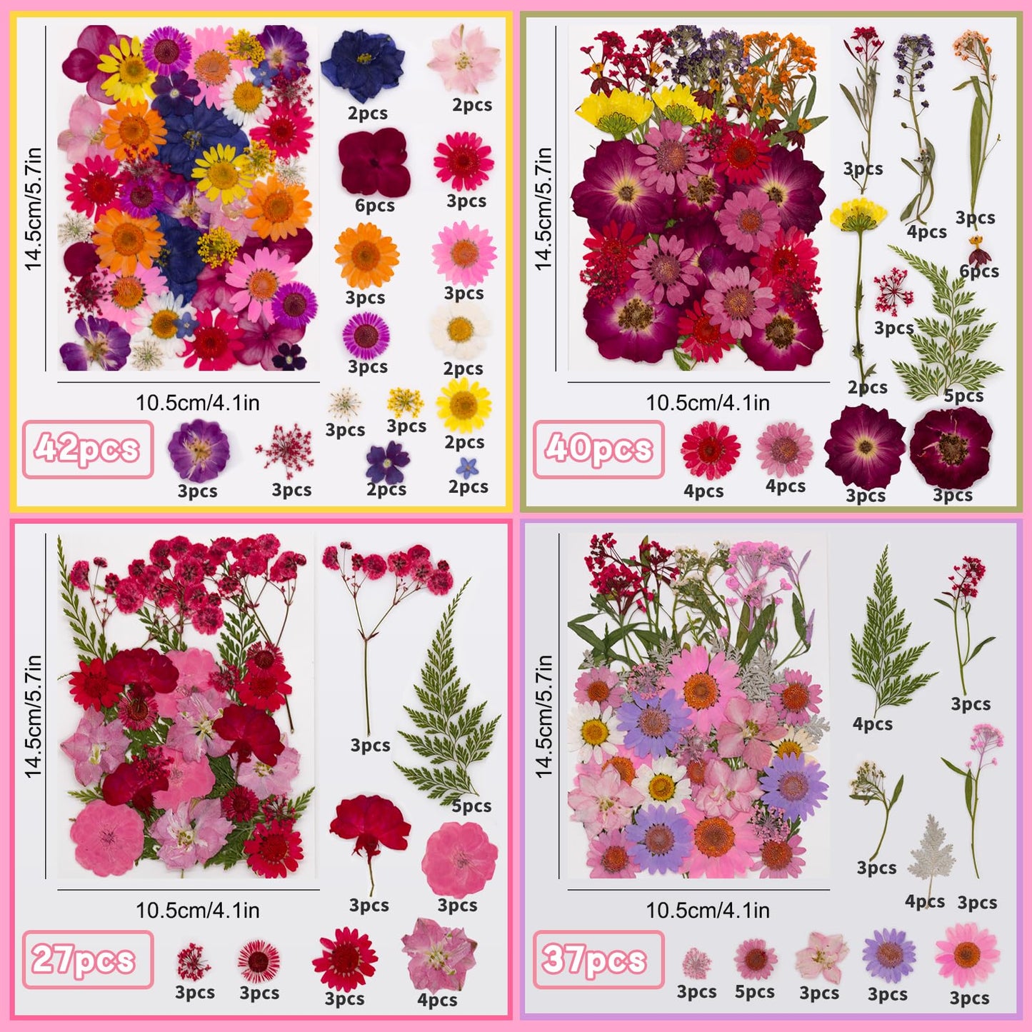 Natural Dried Pressed Flower Kit for DIY Crafts – Assorted Real Flowers & Leaves with Tweezers for Resin Art, Scrapbooking, Jewelry Making, Nail Art, and Home Décor