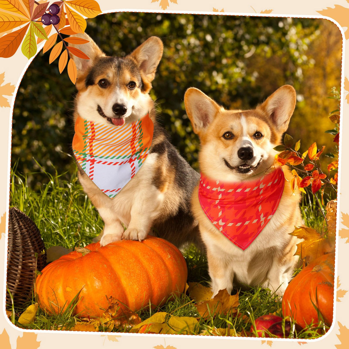 Sweetude 60 Pcs Fall Dog Bandanas Bulk Adjustable Plaid Pet Scarves,M