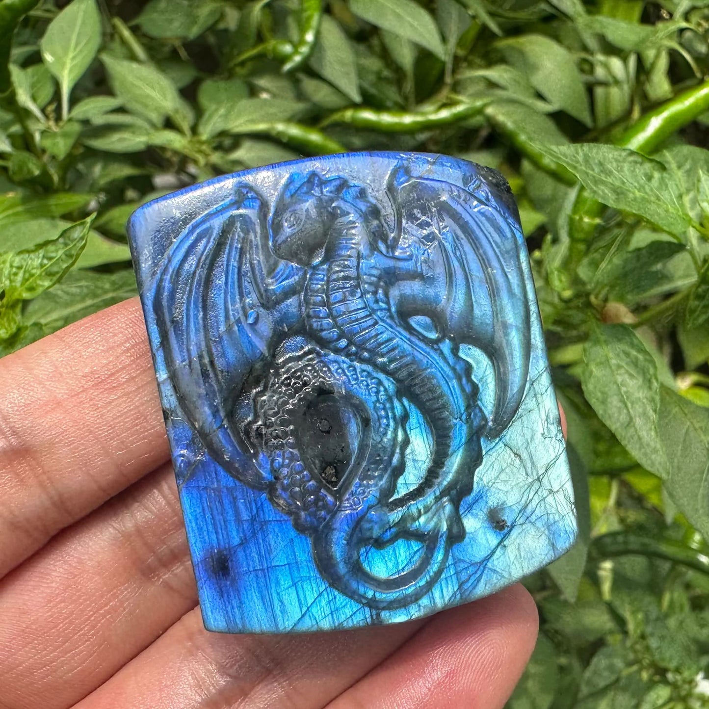TEAMWILL Natural Labradorite Crystal Quartz Hand Carved Fly Dragon Reiki Healing Crystal Gorgeous Art Sculpture Stone Statue Figurine Minerals Gifts