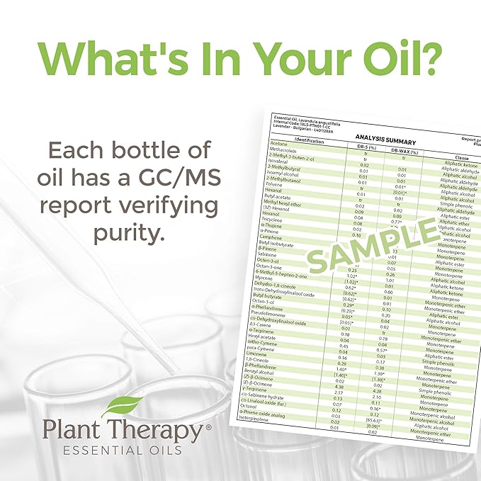 Plant Therapy Egyptian Geranium Essential Oil 100% Pure, Undiluted, Natural Aromatherapy, Therapeutic Grade 30 mL (1 oz)