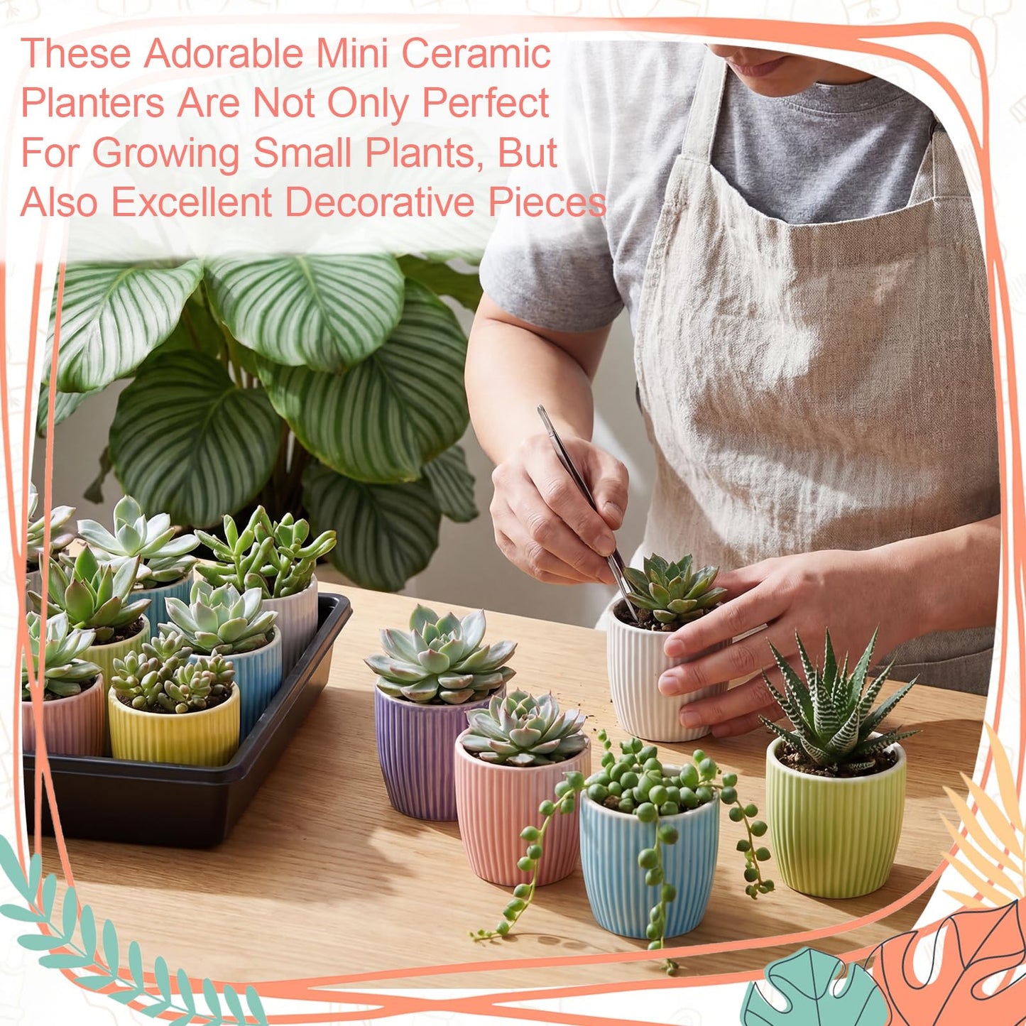 Ferrochef 24 Pcs 2.7 Inch Small Succulent Plant Ceramic Pot with Drainage Hole, Cute Mini Succulent Pots for Plants, Succulents, Cactus, DIY Easter Spring Craft Activity, 6 Colors(Vertical Stripes)