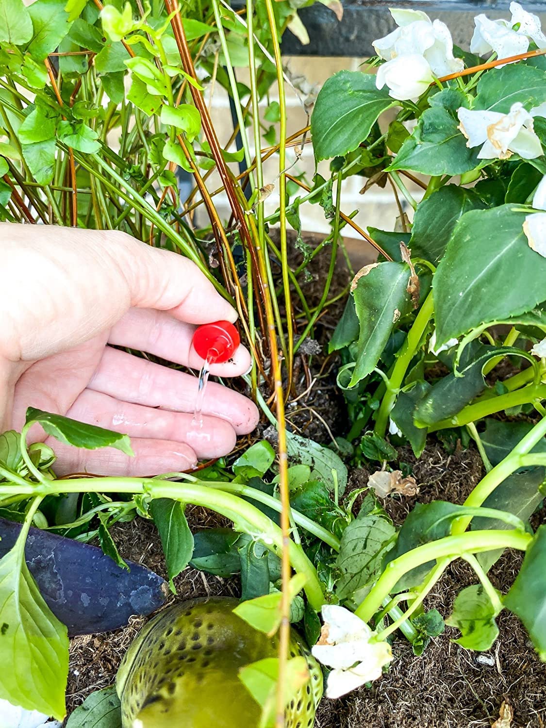 Rain Bird SWDMSPKIT Drip Irrigation Spot Watering Manifold on a Spike Kit, Bubblers and Emitters