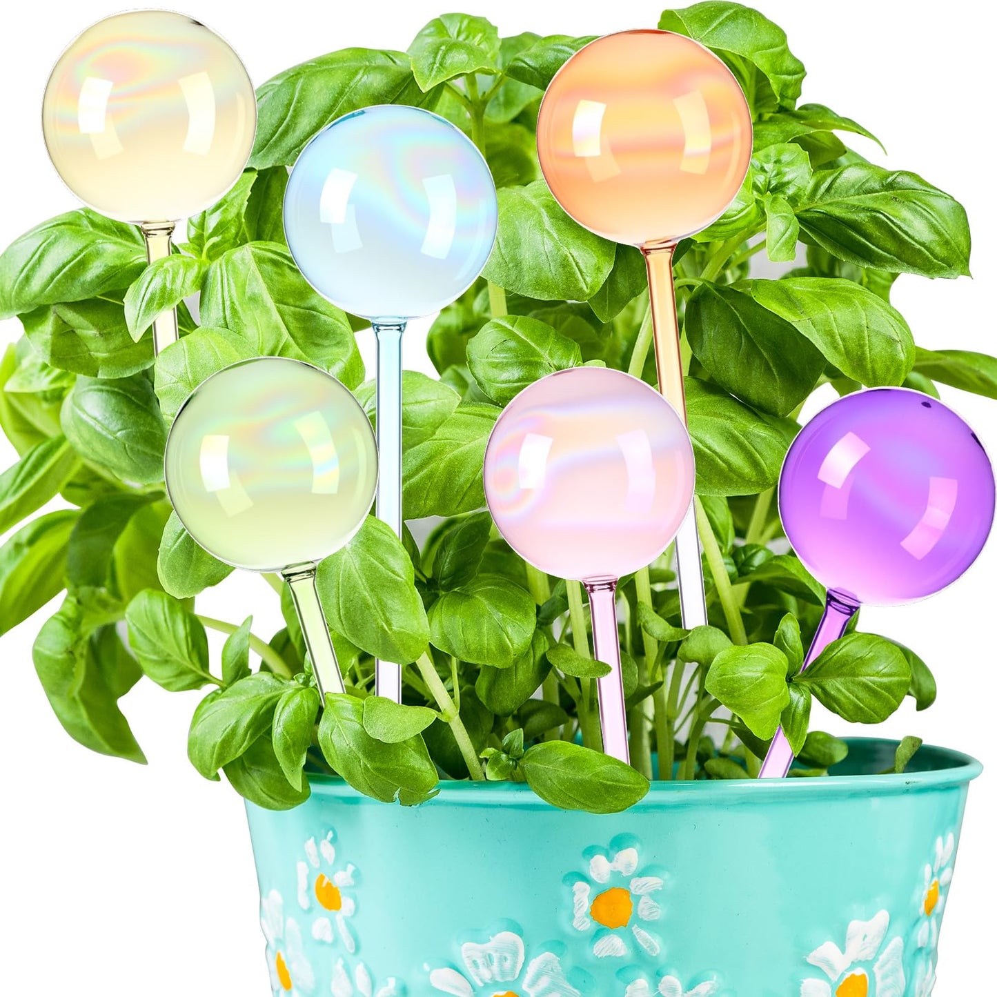 Maxdot 6 Pcs 6.7 Oz Plant Watering Globes Glass Automatic Self Watering Planter Bulbs Self Feeder Balls Irrigation Device Auto Waterer Planter Insert Stakes for Indoor Outdoor Garden Potted