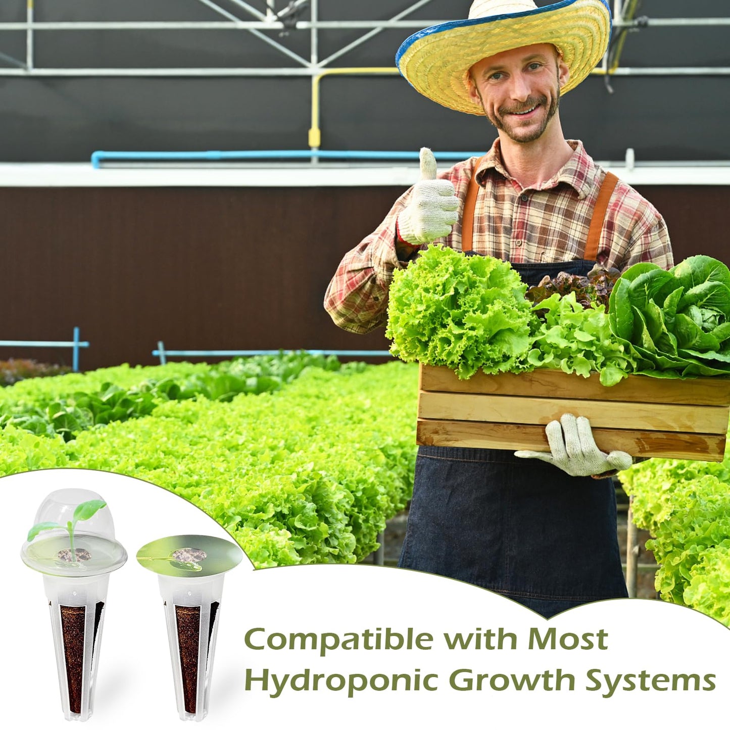 Hugloogn 160PCS Hydroponics Growing Baskets,Plant Seed Pod Kit,Grow Anything Kit,Indoor Garden System Accessories Includes 50pcs Sponges,50pcs Labels,30pcs Replacement Baskets,30pcs Domes