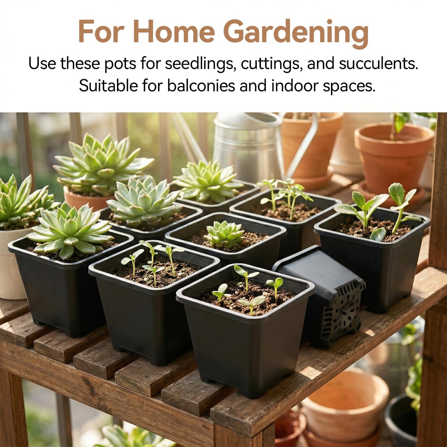 HAKZEON 50 PCS 5.5 Inch Square Nursery Pots, Black Plastic Plant Pot with Drainage Holes, Small Seed Starting Pots for Flower Planter Seedlings, Succulents