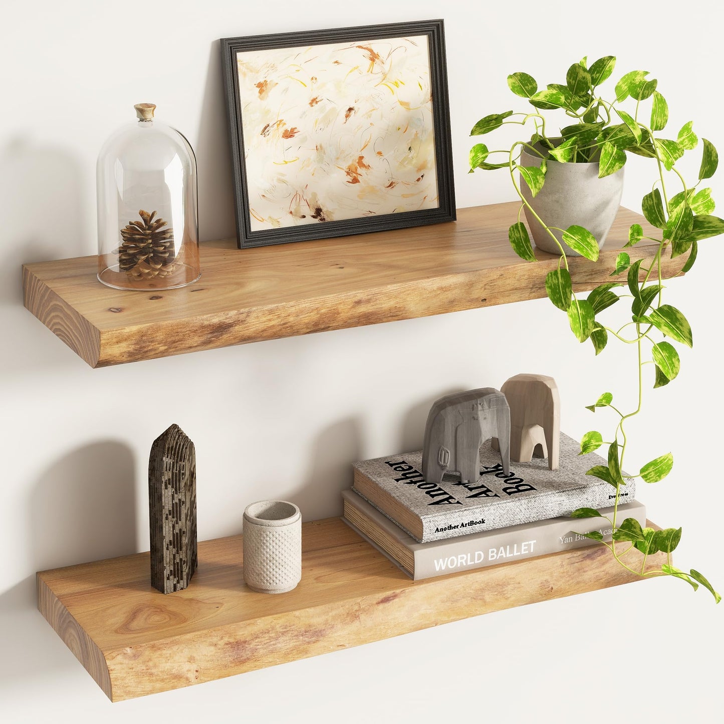 Venusmiles Live Edge Elm Floating Shelves for Wall Decor, Rustic Solid Wood Shelves Wall Mounted with Invisible Bracket for Living Room Bathroom Bedroom Kitchen, 24 Inch Set of 2, Natural