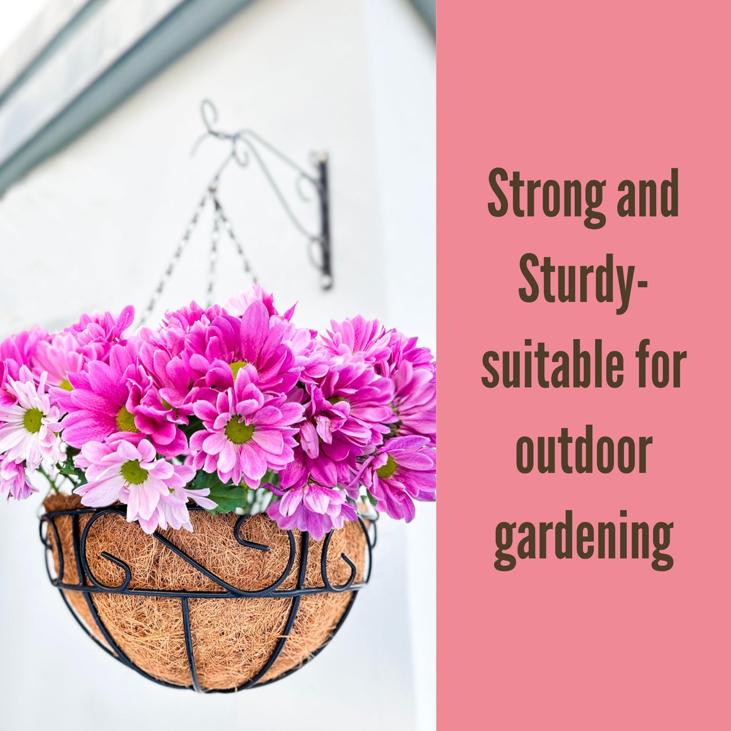 LaLaGreen Hanging Planter for Outdoor Plants (12 Inch, 6 Pack) Hanging Baskets with Coco Liner, Black Metal Wire Flower Basket Pots with Hook Hanger Balcony Porch Farmhouse Country Style Garden Decor
